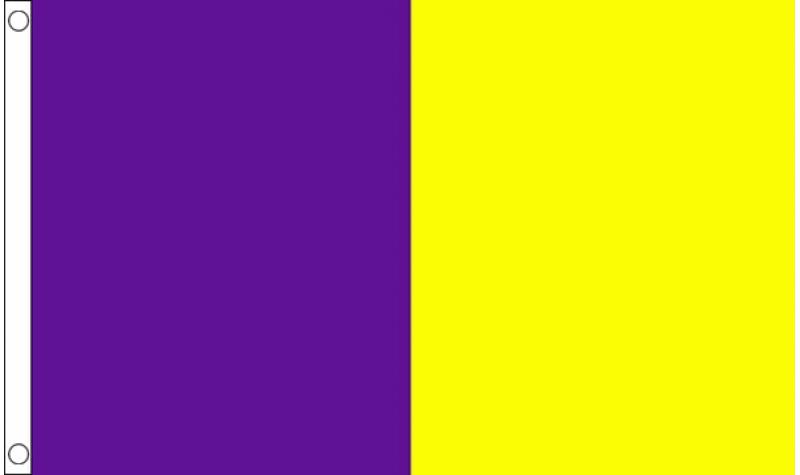 Purple/Gold Irish County Flag