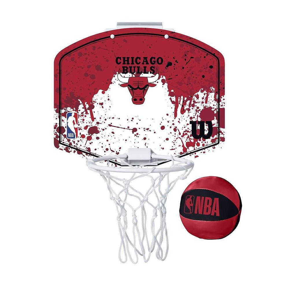 Wilson NBA Team Mini Hoop