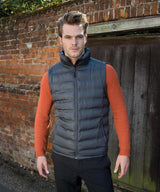 Result Ice bird padded gilet