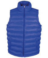 Result Ice bird padded gilet